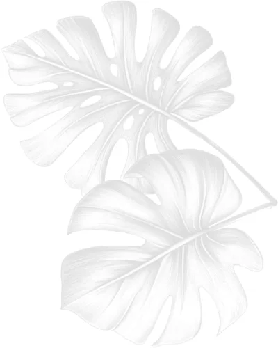 feuilles fond
