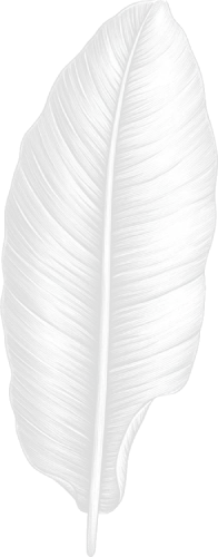 deco fleural fond